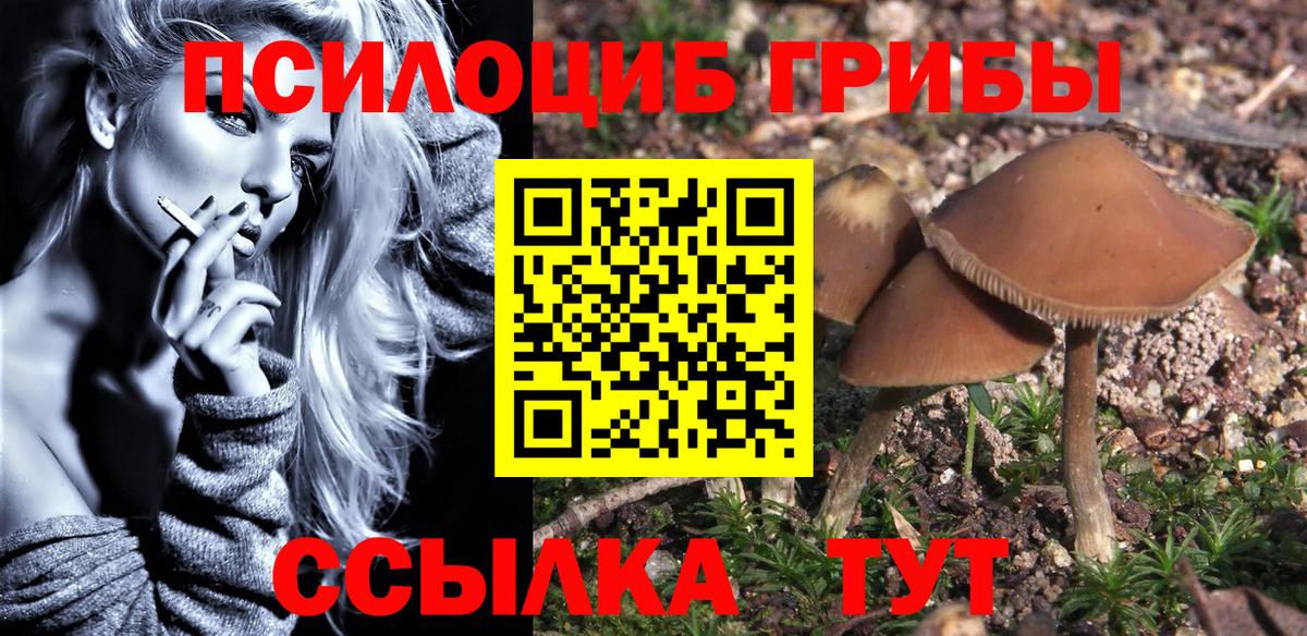 Псилоцибиновые грибы Psilocybe  Вход с VPN  Петропавловск-Камчатский  купить наркотики цена  Псилоцибиновые грибы Cubensis 