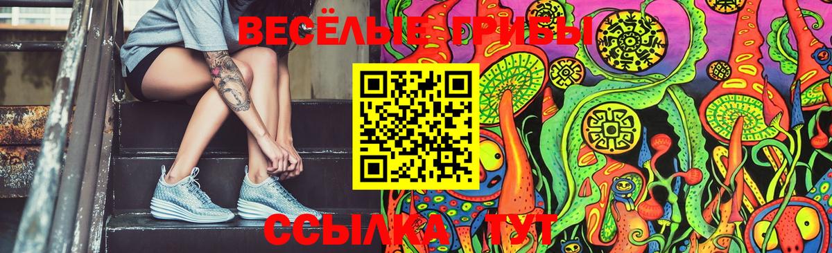 Псилоцибиновые грибы Magic Shrooms Петропавловск-Камчатский
